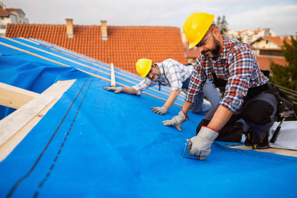 Roof Gutter Cleaning in Fennimore, WI