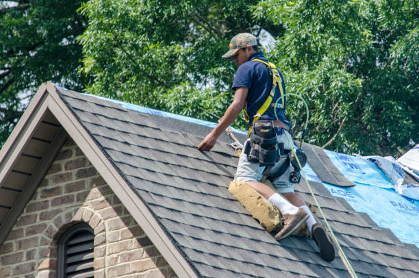 Best Roof Repair Services  in Fennimore, WI